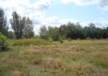 działka na sprzedaż - Żabia Wola, Żelechów