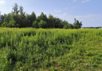 działka na sprzedaż - Żabia Wola, Słubica B