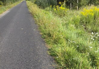 działka na sprzedaż - Radziejowice