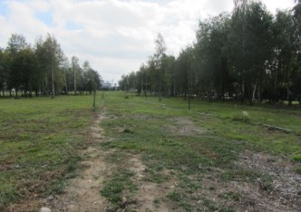 działka na sprzedaż - Radziejowice, Radziejowice-Parcel