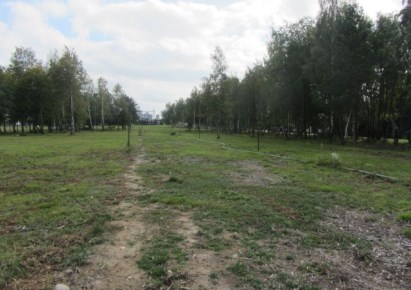 działka na sprzedaż - Radziejowice, Radziejowice-Parcel