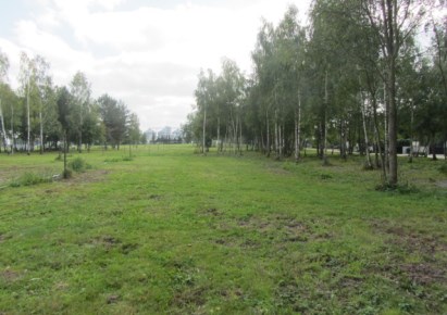 działka na sprzedaż - Radziejowice, Radziejowice-Parcel